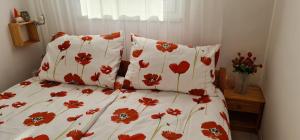 Rooftop Panorama Apartment