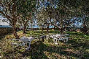 Beachfront apartment Lostura