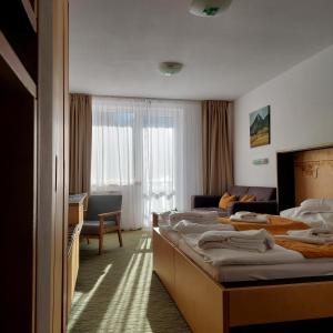 Superior Double Room with Mountain View room in Hotel Diery