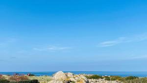 Villas Villa Davia Marine de Davia : photos des chambres