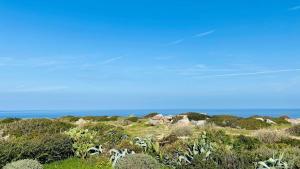 Villas Villa Davia Marine de Davia : photos des chambres