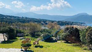 Villas Villa Davia Marine de Davia : photos des chambres