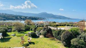 Villas Villa Davia Marine de Davia : photos des chambres