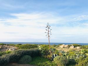 Villas Villa Davia Marine de Davia : photos des chambres