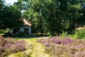 Beekje - Rolstoelvriendelijk en comfortabel 8p - 奥特罗