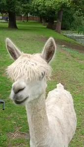 Centrum Edukacyjno-Rozwojowe Wrocław Pawłowice - bezpłatny parking - Skarszyn