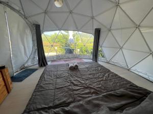 See Scape Camping Khaokho