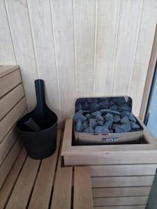 Hedonic Wellness Apartmani