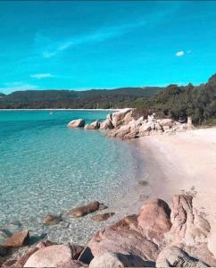 Tamaricciu di cala rossa