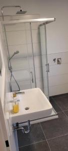 Zweizimmerwohnung Lisa 50 Quadratmeter