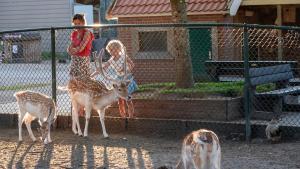 Camping de Krabbeplaat