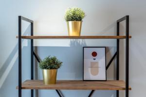 Tourcoing equipped apartment with terrace