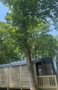 Campings Chant des Oiseaux *** : photos des chambres
