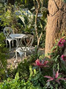 Sandra’s sweet house