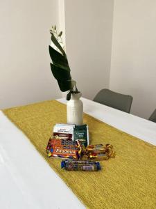 1 BR *Centro* Florida