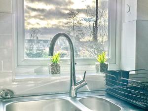 Fewster Apartment with Free Parking