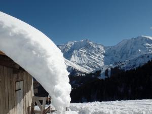 Chalets Chalet Le Grand Paddock : photos des chambres