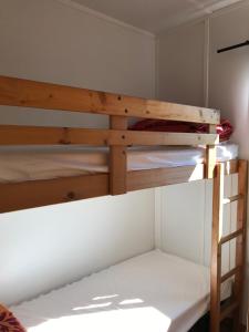 Le Domaine du Scorff - hébergements insolites chalets 4 à 6 personnes et roulottes