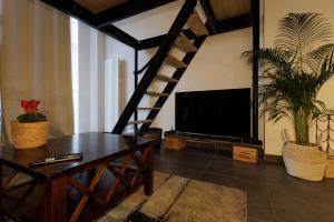 Appartements Manhattan Loft - centre - 5 mn a pied gare - parking prive - patio : photos des chambres