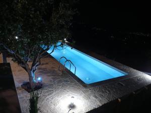 PALACE Mountain view