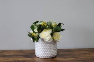 Modern 1 Bedroom Apartment close Falls and Casino