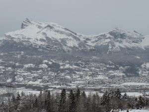 Chalets Le Caribou : photos des chambres