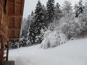 Chalets Le Caribou : photos des chambres