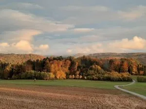 Hochsalerblick - Wil