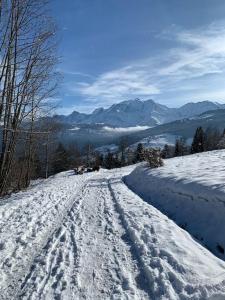 Chalet le Daim appartement 6 pers Vue Mont-Blanc