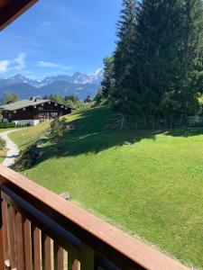 Chalet le Daim appartement 6 pers Vue Mont-Blanc