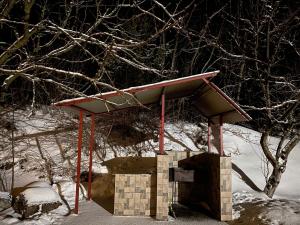 Хочу в Карпати