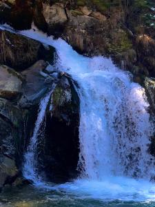 Хочу в Карпати