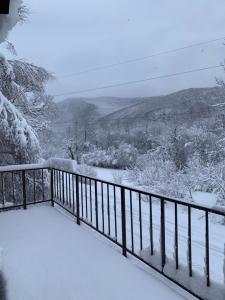 Хочу в Карпати