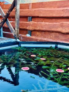 Хочу в Карпати