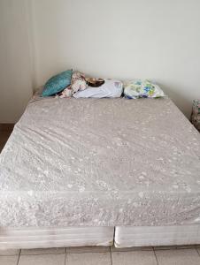 Apto inteiro e individual confortável,Equivalente a 2 quartos pela possibilidade de pessoas Biombo para até três separações Equivalente portanto a 3 quartos para até 9 pessoas Sacada ampla andar alto e opção de Check in até às 23h sob condi