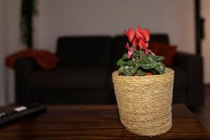 Appartements Manhattan Loft - centre - 5 mn a pied gare - parking prive - patio : photos des chambres