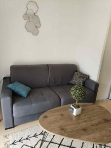 Appartement T2 - PMR à 750 Mètres de la Station Thermale dAvène (34)