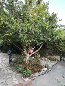 Beautiful maisonette in Protaras