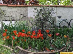 Garden studio at the gates of Paris