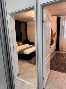 Garsoniera moderna One bedroom