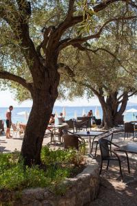 Barbati Beach Apartments Corfu Greece