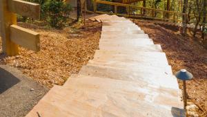 The Hickory in Treehouse Grove at Norton Creek