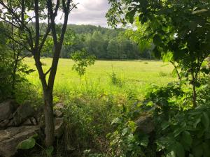 Statek uprostřed divoké zahrady