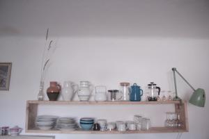 Statek uprostřed divoké zahrady