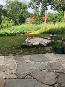 Statek uprostřed divoké zahrady