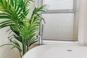 Luxury Apartment with Workspace