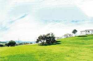 Groen House by DomusAway img22