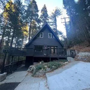 Lake Arrowhead Lux Black Cabin - Crest Park