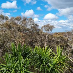 Thira in the Mountains