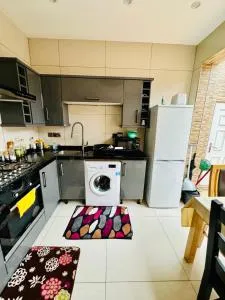 The Great Falcon Accommodation - London